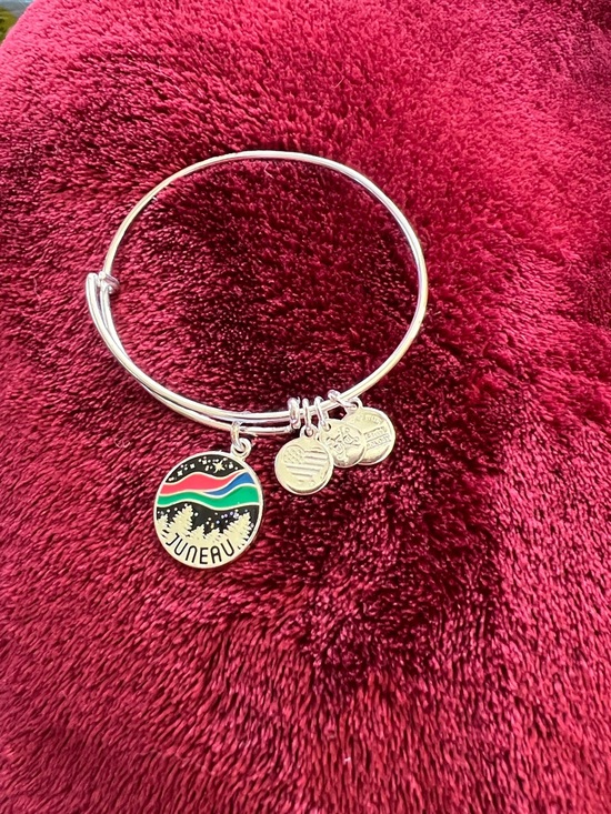 Alex and Ani Jewelry - Alex and Ani Silver Bangle Bracelet with Multi-Color Juneau Charm